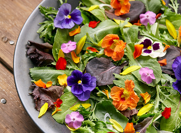 growing and using edible flowers in your garden