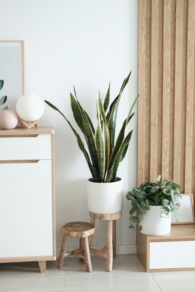 home decor