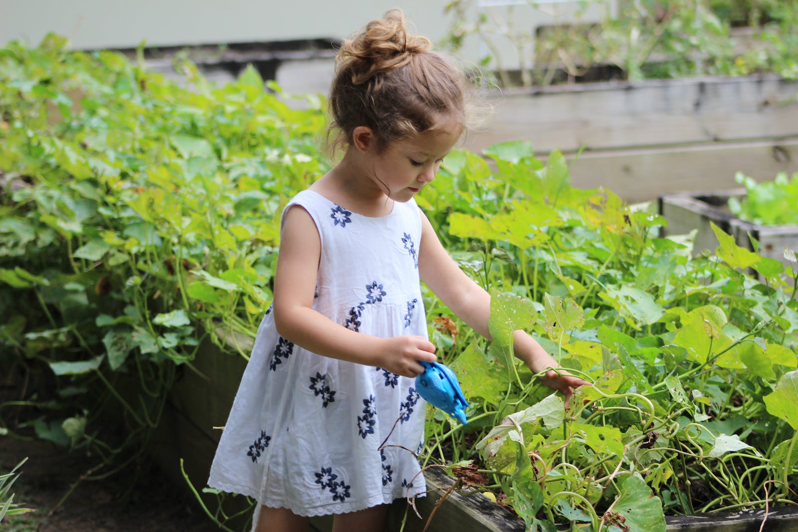 Thriving Garden