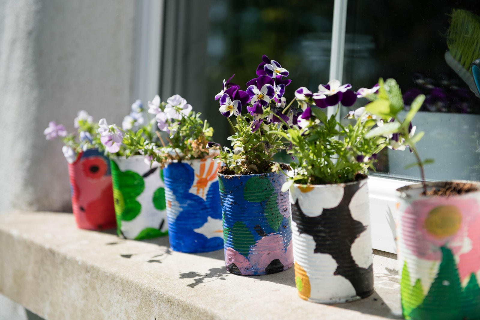 Container Gardening for Beginners